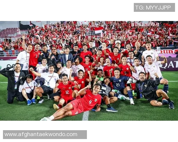 印尼足协宣布三名球员入籍其中一人征战荷甲联赛